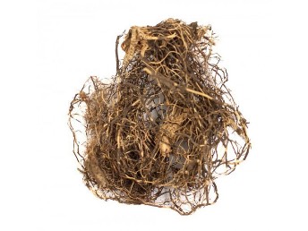 Maralno root - glavna sestavina Gela Maral