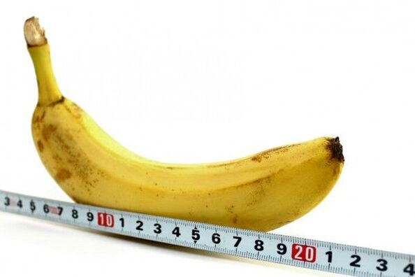 merjenje penisa na primeru banane