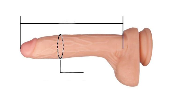 kako izmeriti velikost penisa